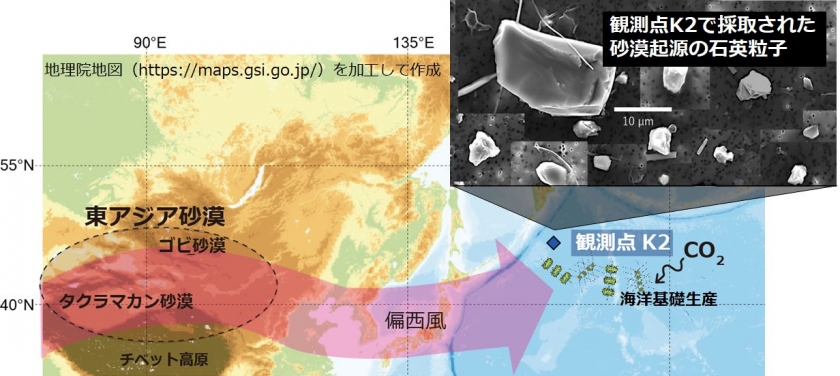 黄砂が海の生態系を育むって本当？ | 研究成果 | 九州大学（KYUSHU